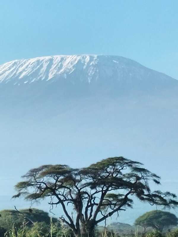 Mount Kilimanjaro close view