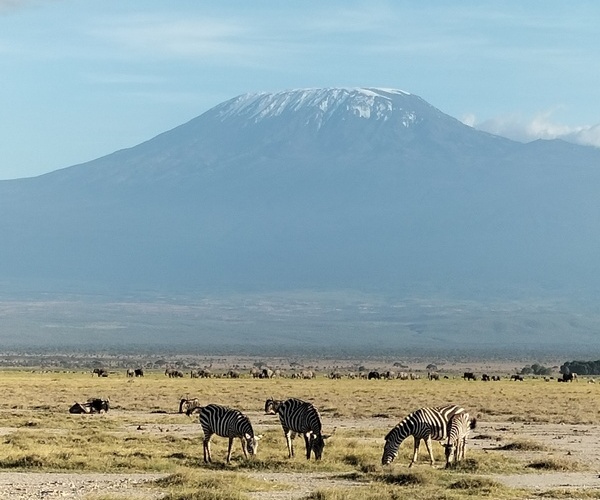 Mt Kilimanjaro view during 6 Days Amboseli safari from Diani
