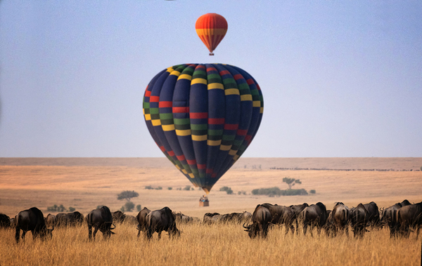 Great Migration hot air balloon safari in Serengeti during 5-day Tanzania tour