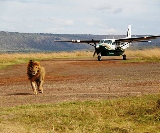Masai Mara fly safari airstrip
