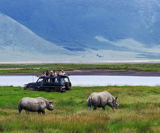 Game Drive at Ngorongoro - Tanzania safari