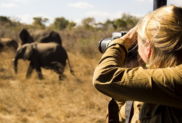 Photographic safari guest capturing elephants in Amboseli National Park
