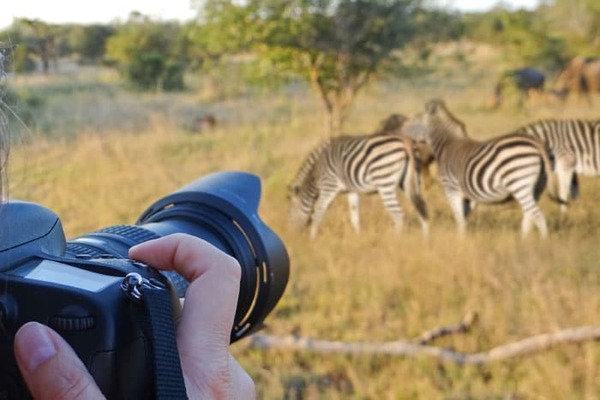 Photographers capturing zebra herds in Maasai Mara during photo safari