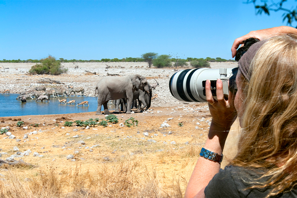 Traveler photographing elephants in Tsavo East National Park