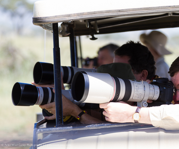 Guest photographing wildlife on a Kenya photo safari jeep tour