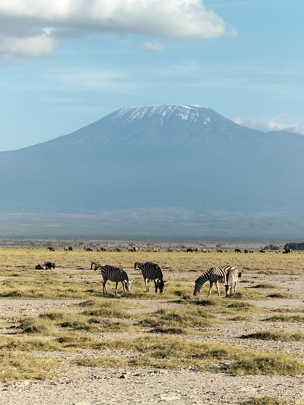 Perfect view of mt Kilimanjaro during 7 day amboseli safari