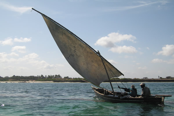 Enjoy Kisite dhow cruise group tour - Kenya coastal excursion