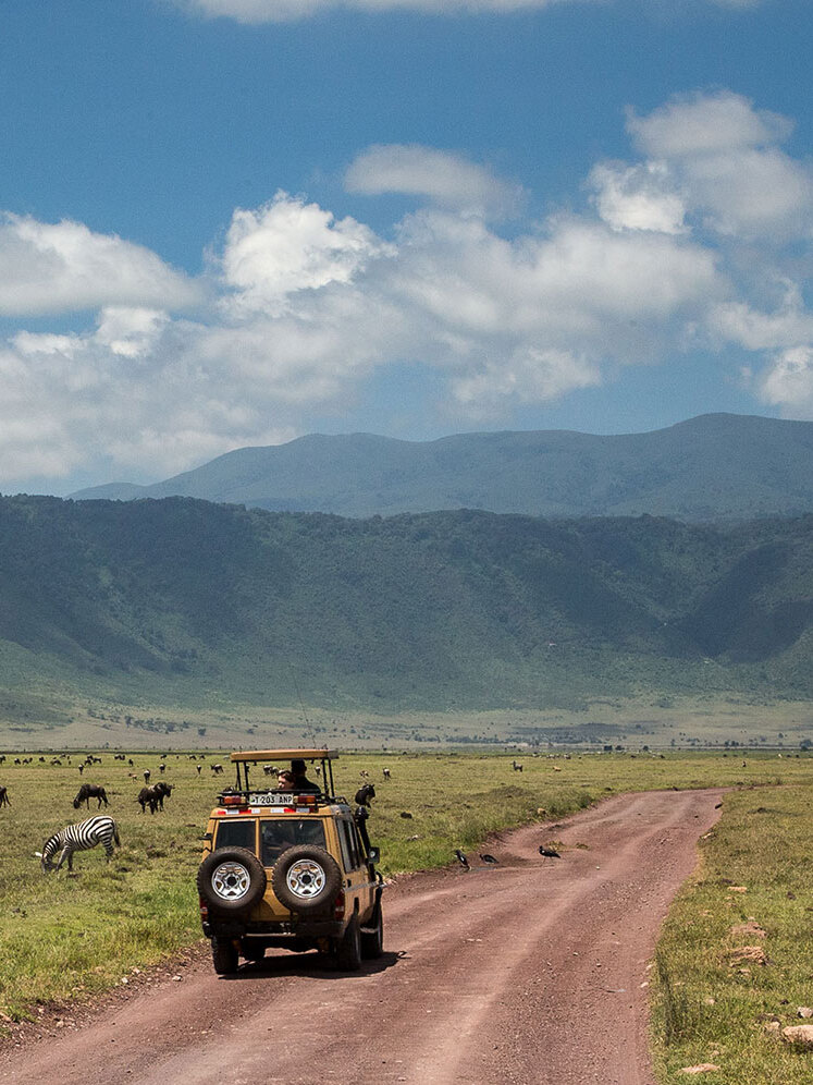 Wild animal adventure at Ngorongoro National Park
