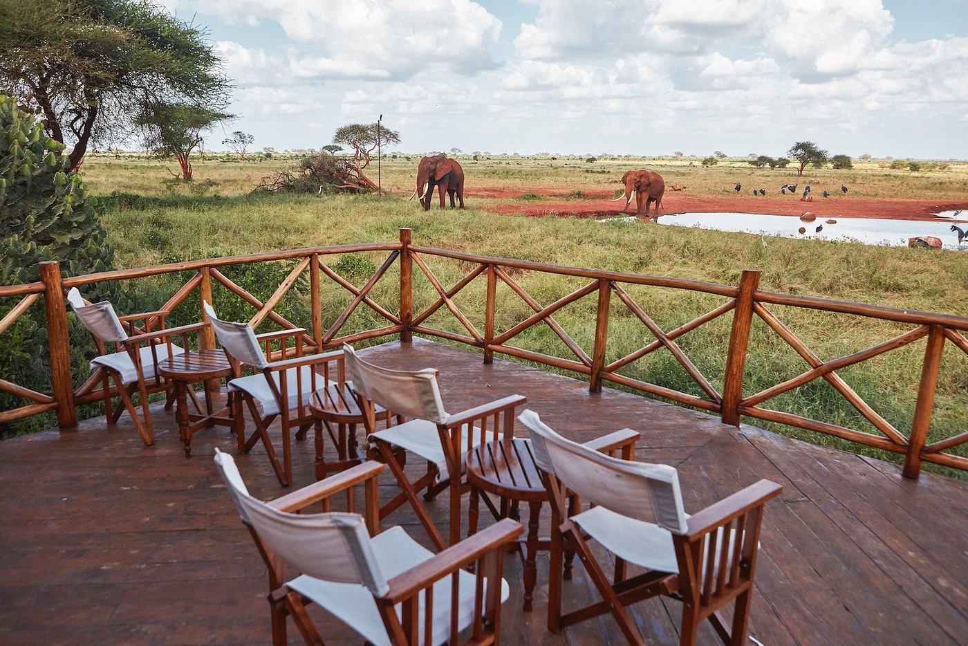 Perfect view of elephants at Ngutuni
