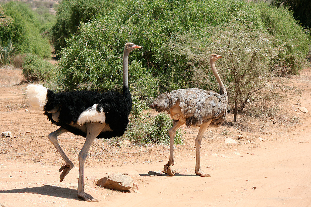 Small group birdwatching tours