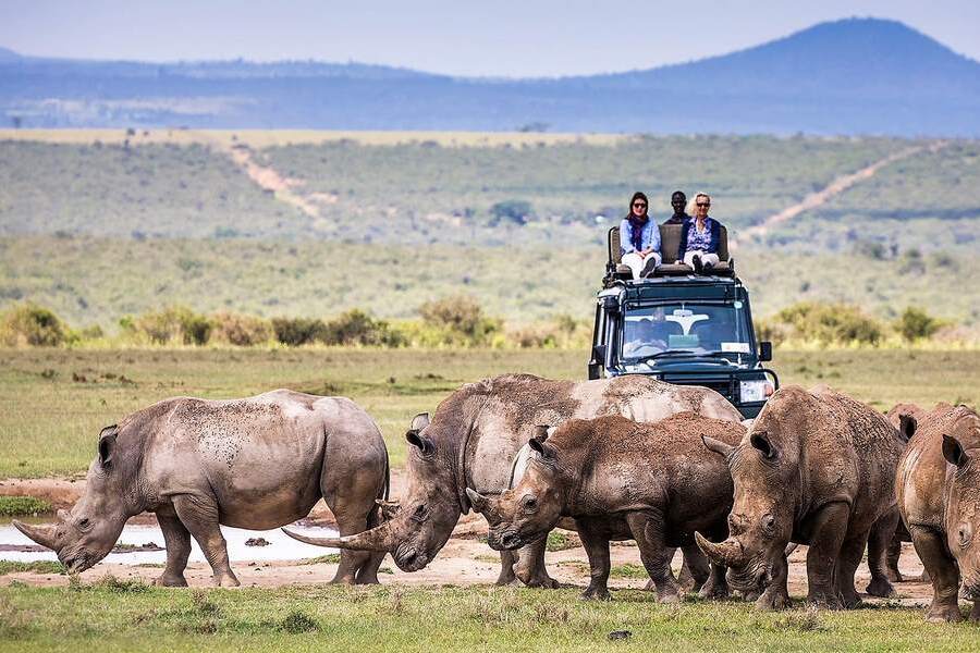rhinos at Solio