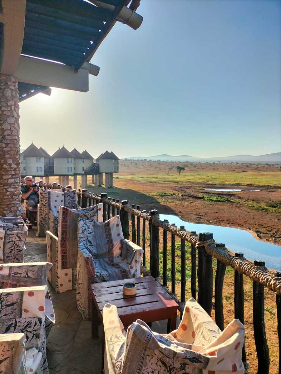 Perfect view of animal from Salt Lick Lodge - 3 day Kenya safari