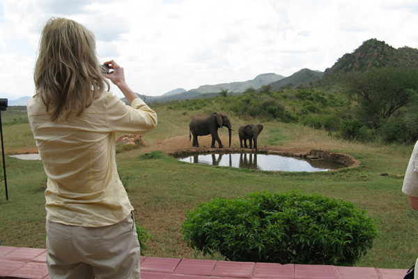 Photo taking of elephants during Kenya big five safari