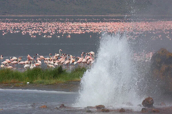 Lake Bogoria in Kenya