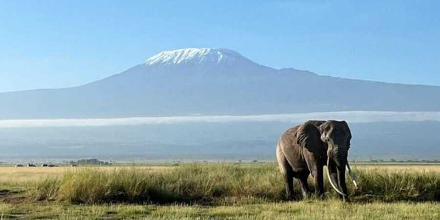 Explore 7+ days Kenya safaris to Amboseli and more premier attractions