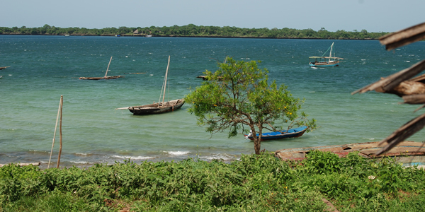 Explore our bush and beach combined Kenya safaris