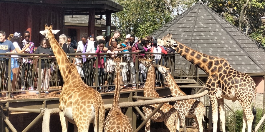 Kenya multi-generational safari