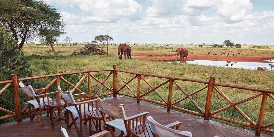 Kenya budget safari
