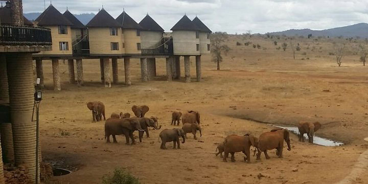 Enjoy short Kenya safaris for 2-3 days to Taita Hills Salt Lick an other places