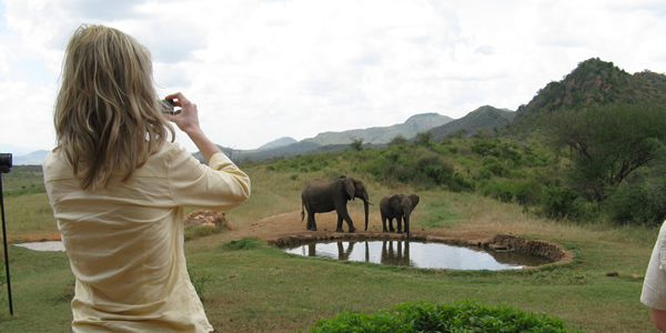 Explore our Kenya Safari packages - perfect for photographic