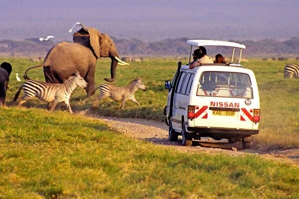 Sunday Best Safaris - tour Nissan