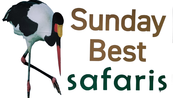 Sunday Best Safaris