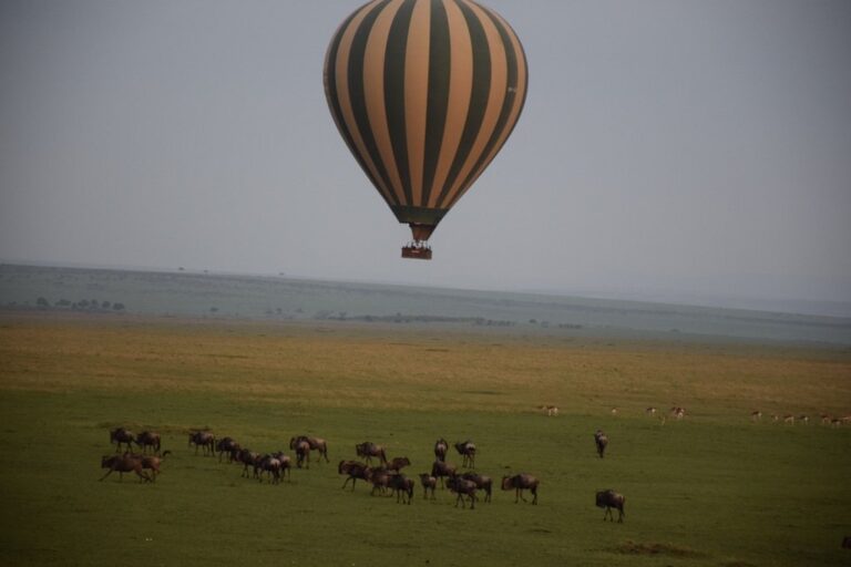 Hot Air Balloon Safari Masai Mara National reserve kenya