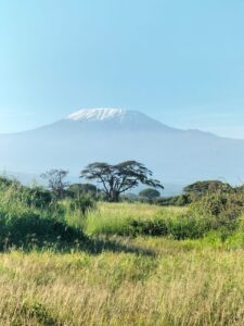 mt kilimanjaro