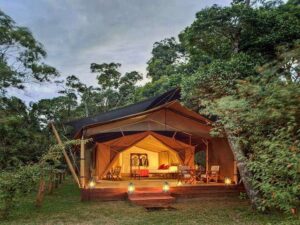 Elephant Papper Luxury Safari Camp